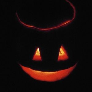 Meet your Posher, Ross